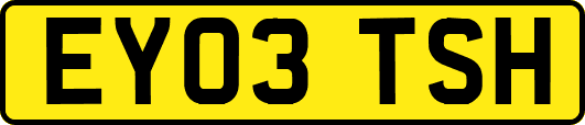 EY03TSH