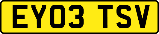 EY03TSV