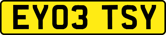 EY03TSY