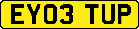 EY03TUP