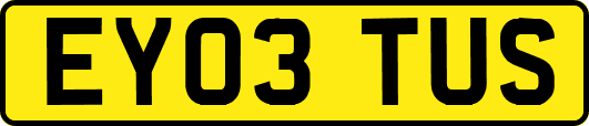 EY03TUS