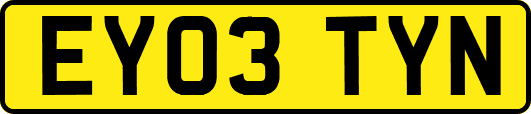 EY03TYN