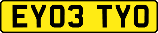 EY03TYO