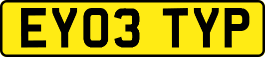 EY03TYP