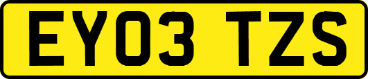 EY03TZS