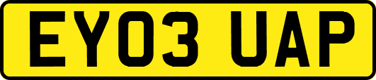 EY03UAP