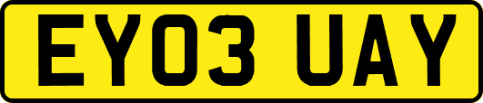 EY03UAY