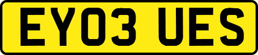 EY03UES