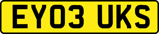 EY03UKS