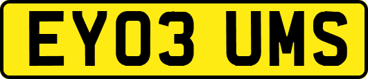 EY03UMS