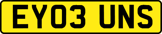 EY03UNS