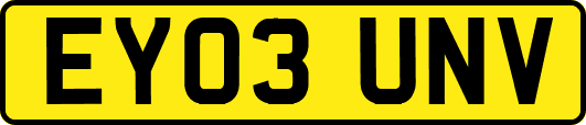 EY03UNV