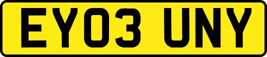 EY03UNY