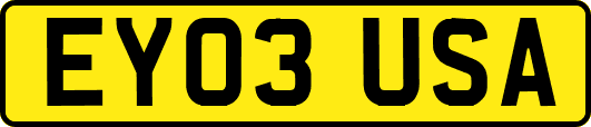 EY03USA