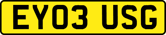 EY03USG