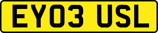 EY03USL