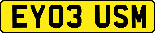 EY03USM