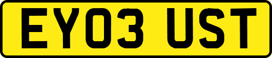 EY03UST