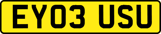 EY03USU