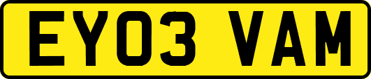 EY03VAM
