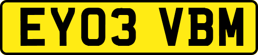 EY03VBM