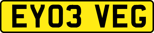 EY03VEG