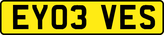 EY03VES