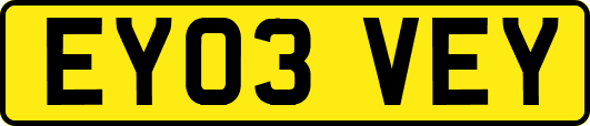 EY03VEY