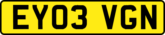 EY03VGN