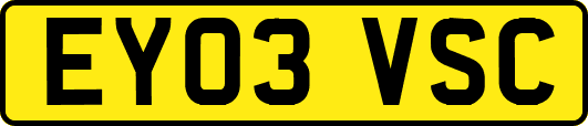 EY03VSC