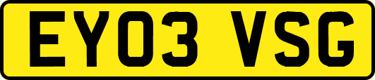 EY03VSG