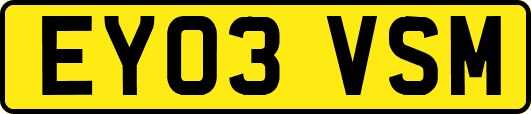 EY03VSM