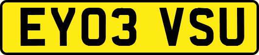 EY03VSU