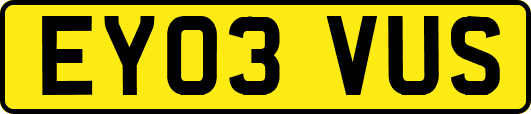 EY03VUS