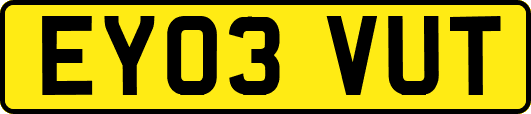 EY03VUT