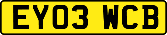 EY03WCB