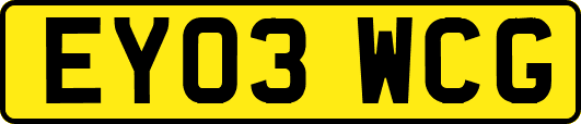 EY03WCG