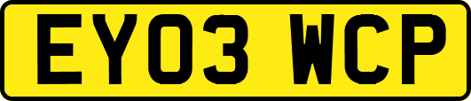EY03WCP