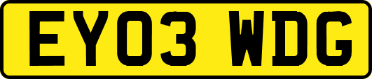 EY03WDG