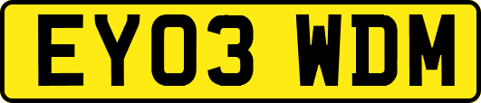 EY03WDM