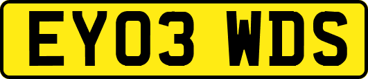 EY03WDS
