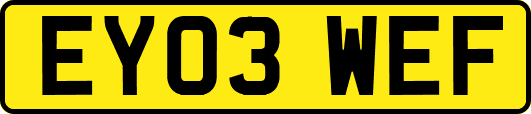 EY03WEF