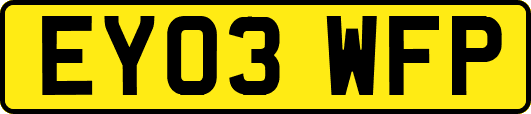 EY03WFP