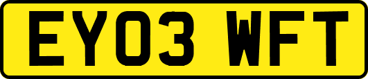 EY03WFT