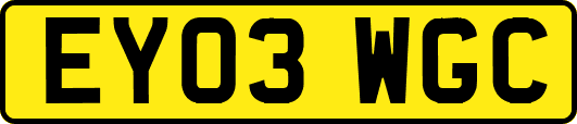 EY03WGC