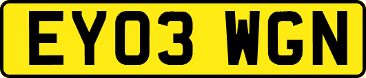 EY03WGN