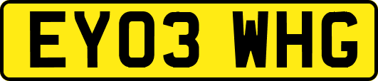 EY03WHG