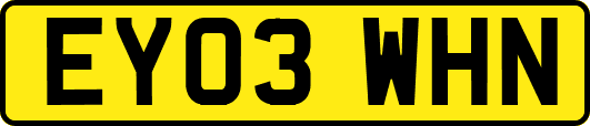 EY03WHN
