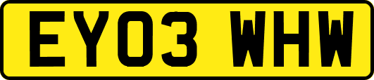 EY03WHW