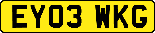 EY03WKG